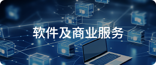 軟件及商業(yè)服務
