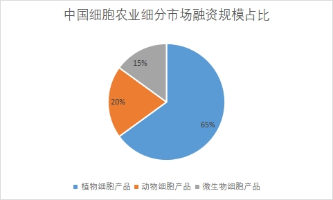 細(xì)分市場融資規(guī)模占比