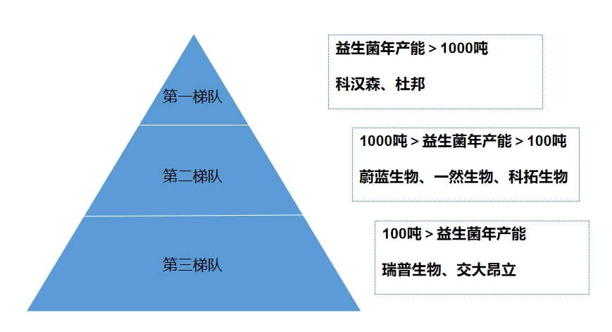 市場(chǎng)梯隊(duì)