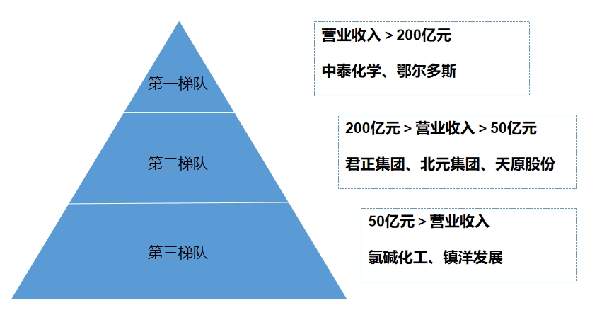 市場(chǎng)梯隊(duì)