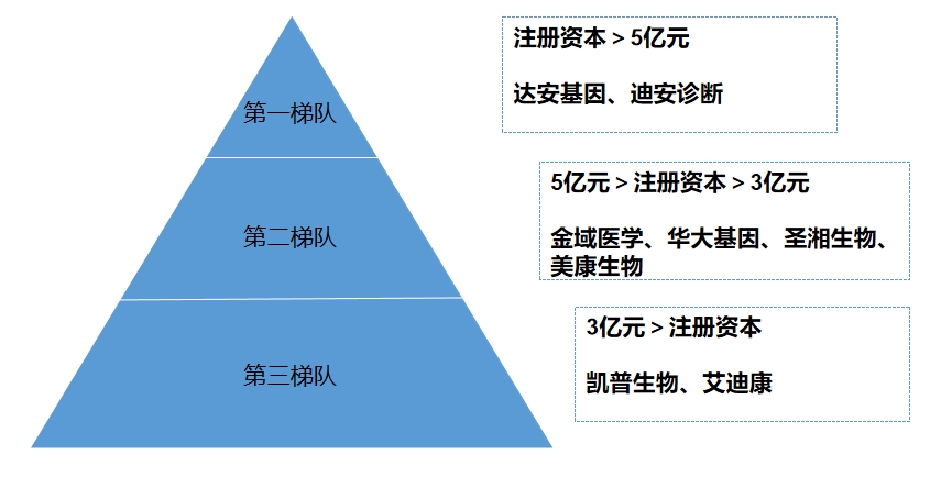 市場(chǎng)梯隊(duì)
