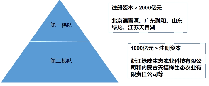市場梯隊(duì)