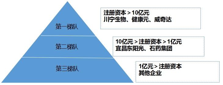 中國抗生素行業(yè)競爭格局及重點企業(yè)研究