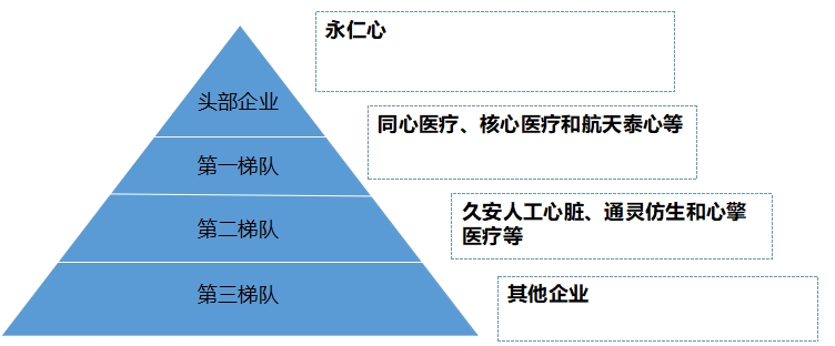 中國(guó)心室輔助裝置行業(yè)競(jìng)爭(zhēng)格局及重點(diǎn)企業(yè)經(jīng)營(yíng)情況調(diào)研