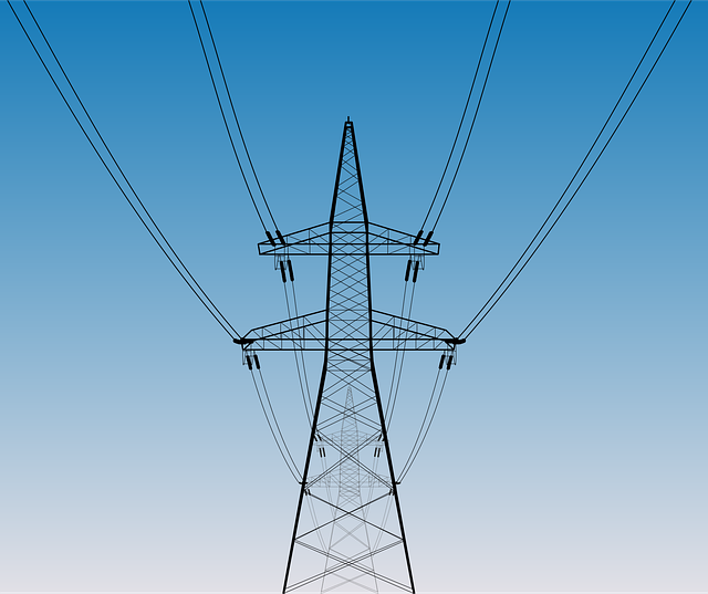 2021年中國綠電交易市場調(diào)查研究與發(fā)展前景預(yù)測報(bào)告