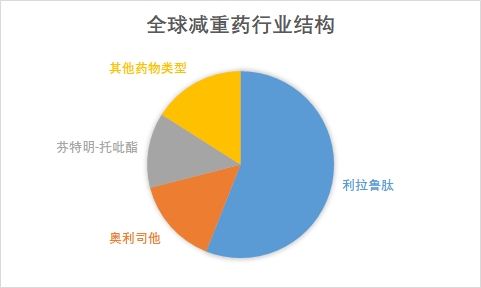 全球及中國減重藥行業(yè)分析報(bào)告