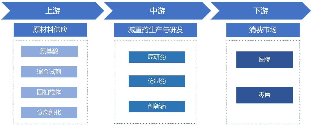 全球及中國減重藥行業(yè)分析報(bào)告