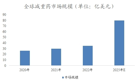 全球及中國減重藥行業(yè)分析報(bào)告