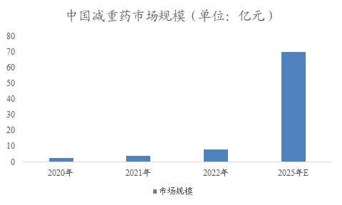 中國(guó)減重藥市場(chǎng)研究報(bào)告