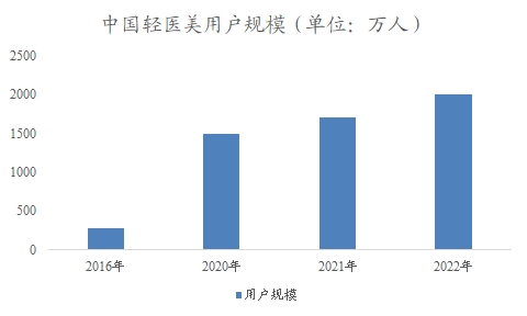 中國輕醫(yī)美市場調(diào)研報(bào)告