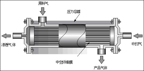 詳情