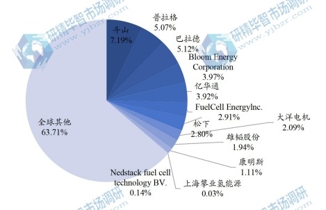 全球氫燃料電池主要企業(yè)產值占比 (2019-2020) 全球氫燃料電池主要企業(yè)產值占比 (2019-2020)