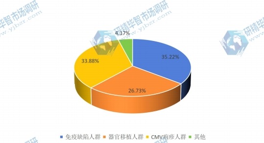 2015年巨細(xì)胞病毒(HHV-5)感染治療藥不同應(yīng)用領(lǐng)域產(chǎn)值份額 2015年巨細(xì)胞病毒(HHV-5)感染治療藥不同應(yīng)用領(lǐng)域產(chǎn)值份額