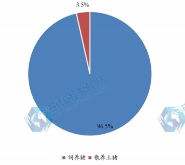 國內飼養(yǎng)豬和散養(yǎng)土豬消費量占比（2023年）
