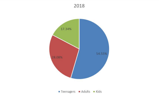 2018年按應(yīng)用劃分的全球滑板銷售市場份額（%）