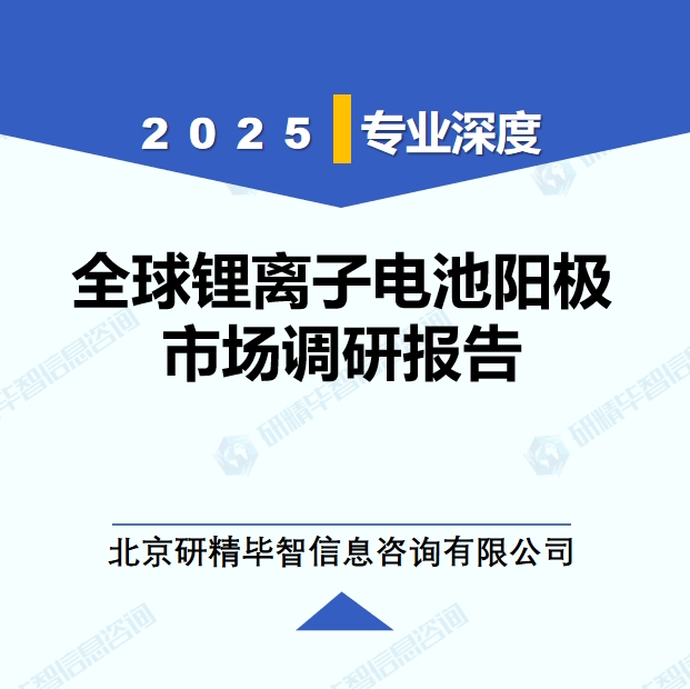 2025年全球與中國(guó)鋰離子電池陽(yáng)極市場(chǎng)深度調(diào)研報(bào)告：行業(yè)趨勢(shì)與投資前景分析
