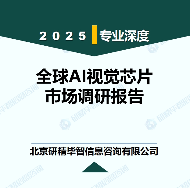 全球AI視覺芯片市場現(xiàn)狀調(diào)研報告