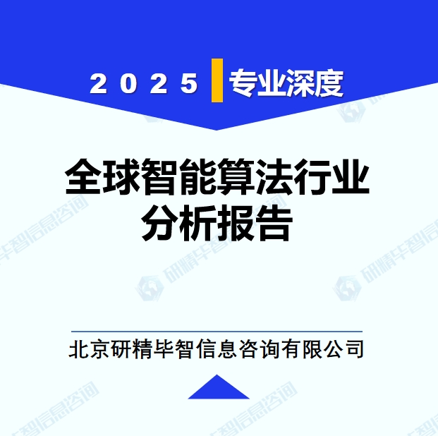 全球智能算法行業(yè)分析報(bào)告