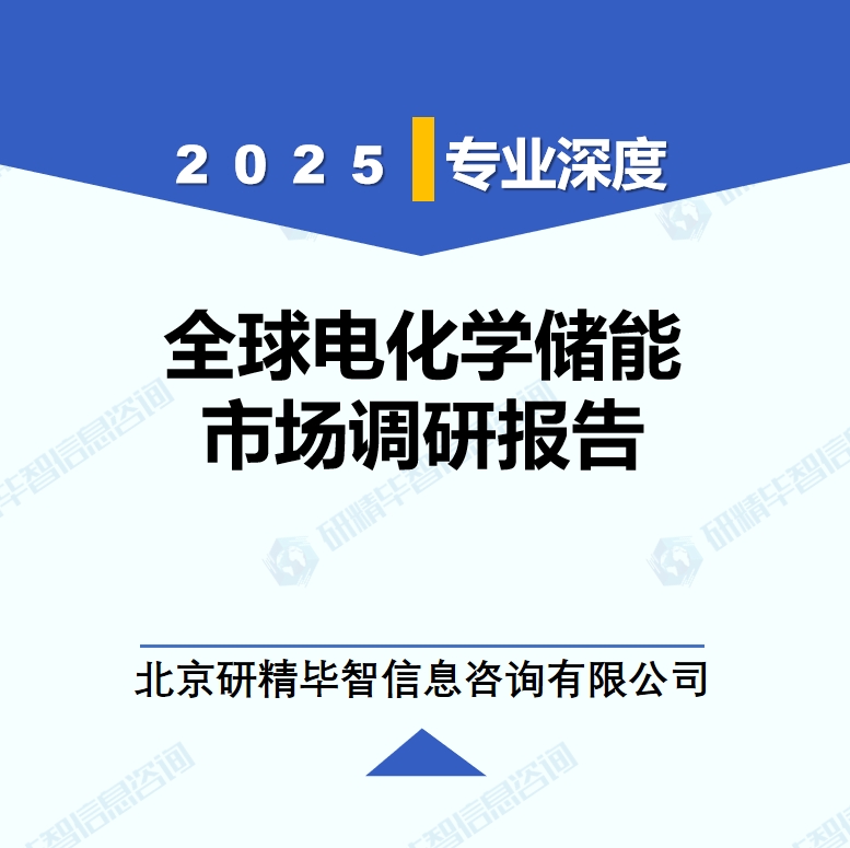 電化學(xué)儲(chǔ)能月度動(dòng)態(tài)監(jiān)測(cè)調(diào)研報(bào)告（2025年4月）
