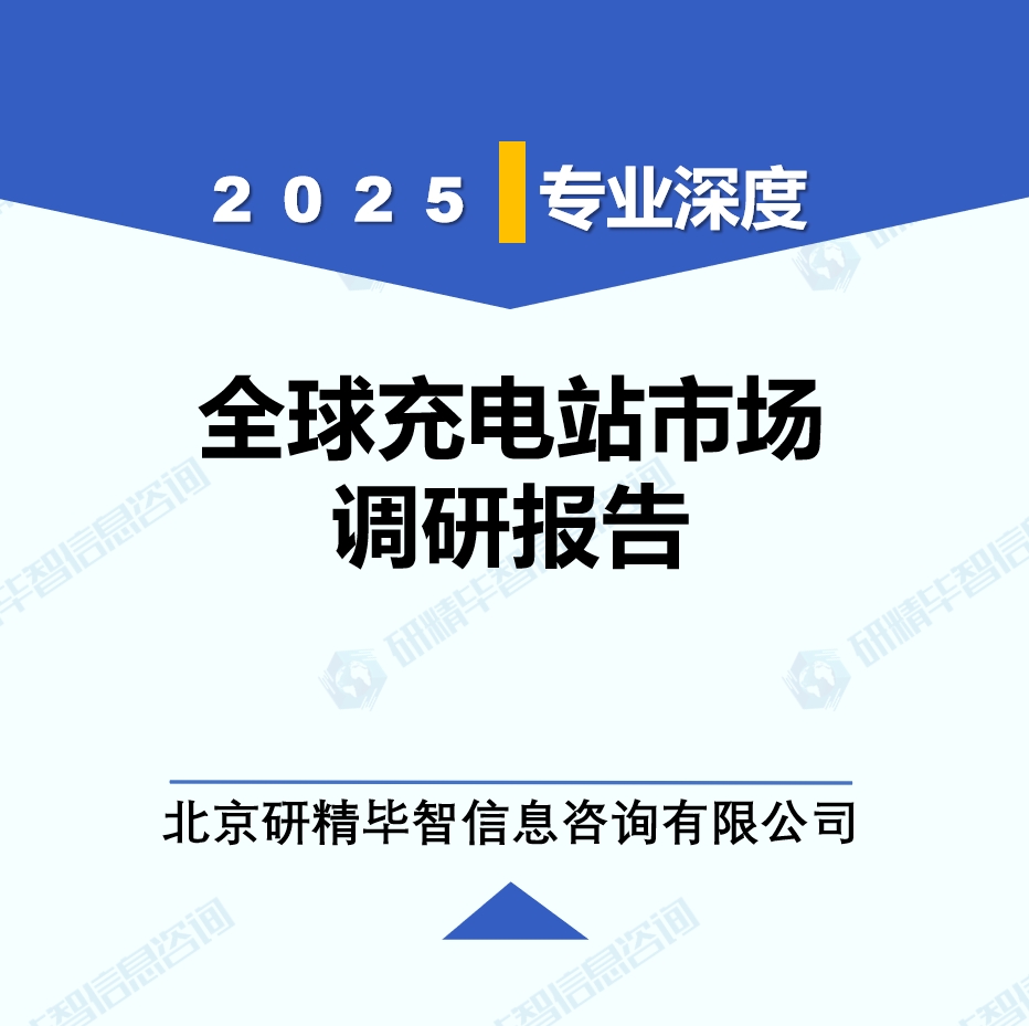 充電站月度動(dòng)態(tài)監(jiān)測(cè)調(diào)研報(bào)告（2025年4月）