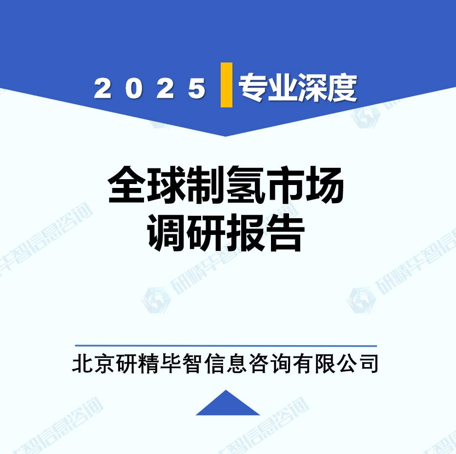 制氫行業(yè)動態(tài)監(jiān)測調(diào)研報告（2025年5月）